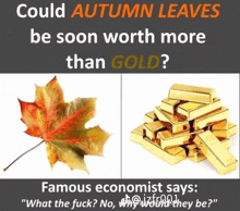 a picture of a maple leaf and a pile of gold bars