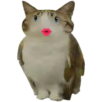a cat with a pink lip and blue eyes looks like an owl