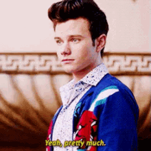 a young man wearing a blue sweater and a white shirt is standing in front of a couch and talking .