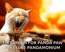 a cat is holding a gun with the words fir gunnin for panda paw pressure pandamonium