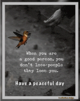 a poster with a hummingbird and a quote that says " when you are a good person "