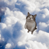 a cat is flying through the clouds and looking at the camera