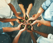 a group of people are holding plants in their hands