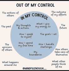 a diagram that says out of my control in my control at the top