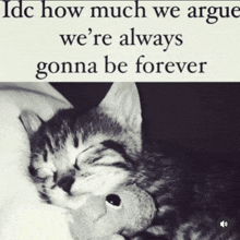 a black and white photo of a kitten with the words idc how much we argue we 're always gonna be forever below