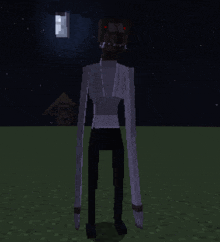 a minecraft character with long arms and red eyes stands in a field at night