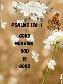 a butterfly sits on a flower with the words psalms 136-1 written above it
