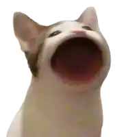 a cat with its mouth wide open looking up at the camera