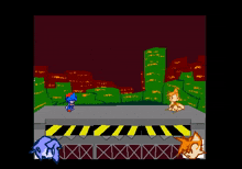 a video game with sonic the hedgehog and tails