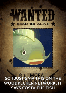 a wanted poster with a picture of a fish and the words " so i just saw this on the woodpecker network "