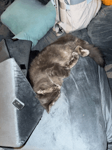 a cat is laying on a gray blanket on a couch