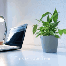 a laptop is sitting on a desk next to a potted plant ..