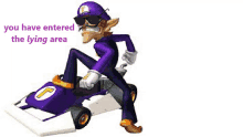 wario is riding a purple kart in a video game .