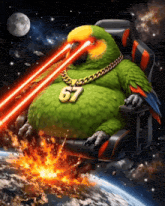a parrot with the number 67 on its neck