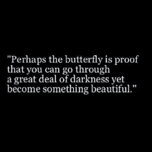 the butterfly is proof that you can go through a great deal of darkness yet become something beautiful