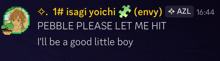 a screenshot of a message that says " pebble please let me hit "