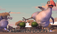 a cartoon of a bird with watermelons on its feet and the words taekwen-dodo below
