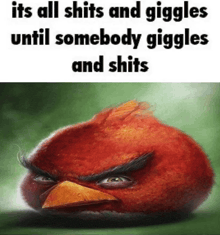 a picture of an angry bird with the words " its all shits and giggles until somebody giggles and shits " below it