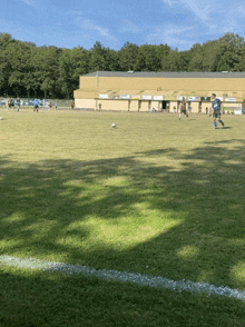 a group of people are playing soccer in a field