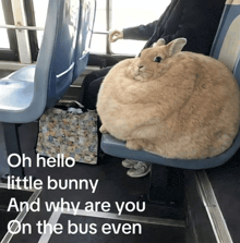 a person is sitting on a bus with a giant bunny sitting on their lap
