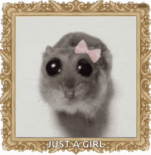 a picture of a hamster with a bow and the words just a girl