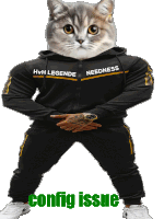 a cat wearing a hoodie that says needness