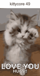 a picture of a cat with the words love you hugs on it