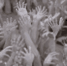 a blurred image of a group of hands reaching up