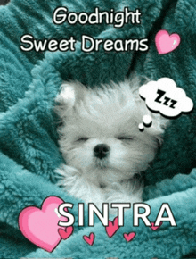 a puppy is sleeping under a blanket with the words goodnight sweet dreams sintra on the bottom