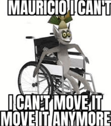 a lemur is sitting in a wheelchair with the words `` mauricio i can 't move it anymore '' .