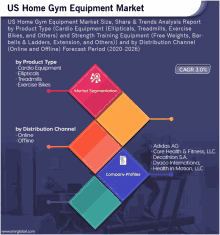 us home gym equipment market by product type and distribution channel