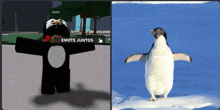 a picture of a penguin and a picture of a penguin with the words emote juntos