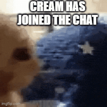 a picture of a cat with the words cream has joined the chat