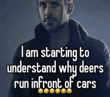 a man says i am starting to understand why deer run in front of cars