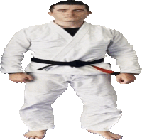 a man in a white karate uniform has a black belt around his waist