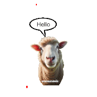 a picture of a sheep with a speech bubble saying hello