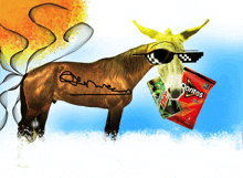 a donkey wearing sunglasses and holding a bag of doritos chips