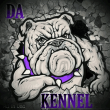 a cartoon drawing of a bulldog with a purple collar that says kennel