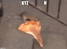 a mouse is eating a slice of pizza on a sidewalk .