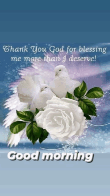 two white doves are sitting on top of a white rose with the words thank you god for blessing me more than i deserve .