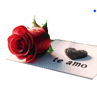 a red rose is on a card that says te amo