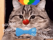 a cat wearing a clown nose and a bow tie .