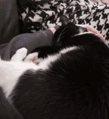 a black and white cat is laying on a person 's lap