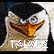 a penguin from spongebob squarepants is smiling with the word talvez written next to it .