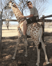 a man sits on the back of a giraffe wearing a shirt that says ' columbia ' on it