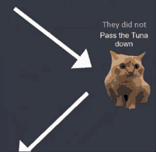 a picture of a cat with arrows pointing to it and the words " they did not pass the tuna down "