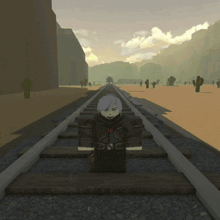 a person standing on train tracks in a desert