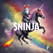 a cat is riding on the back of a unicorn with the word ninja on it