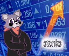 a cartoon raccoon is standing in front of a stock chart that says stoniks