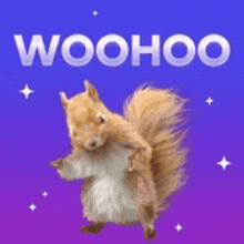 a squirrel is standing on its hind legs in front of a blue and purple background with the word woohoo above it